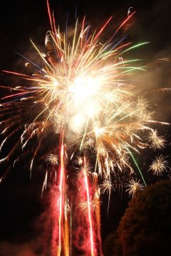 t_IMG_5436.jpg